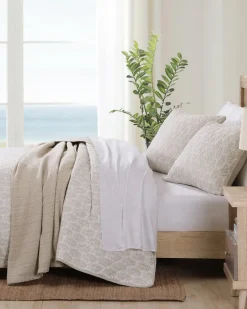 Tommy Bahama Bahama Fronds Reversible 3-Piece Full/Queen Quilt Set Brown Outlet